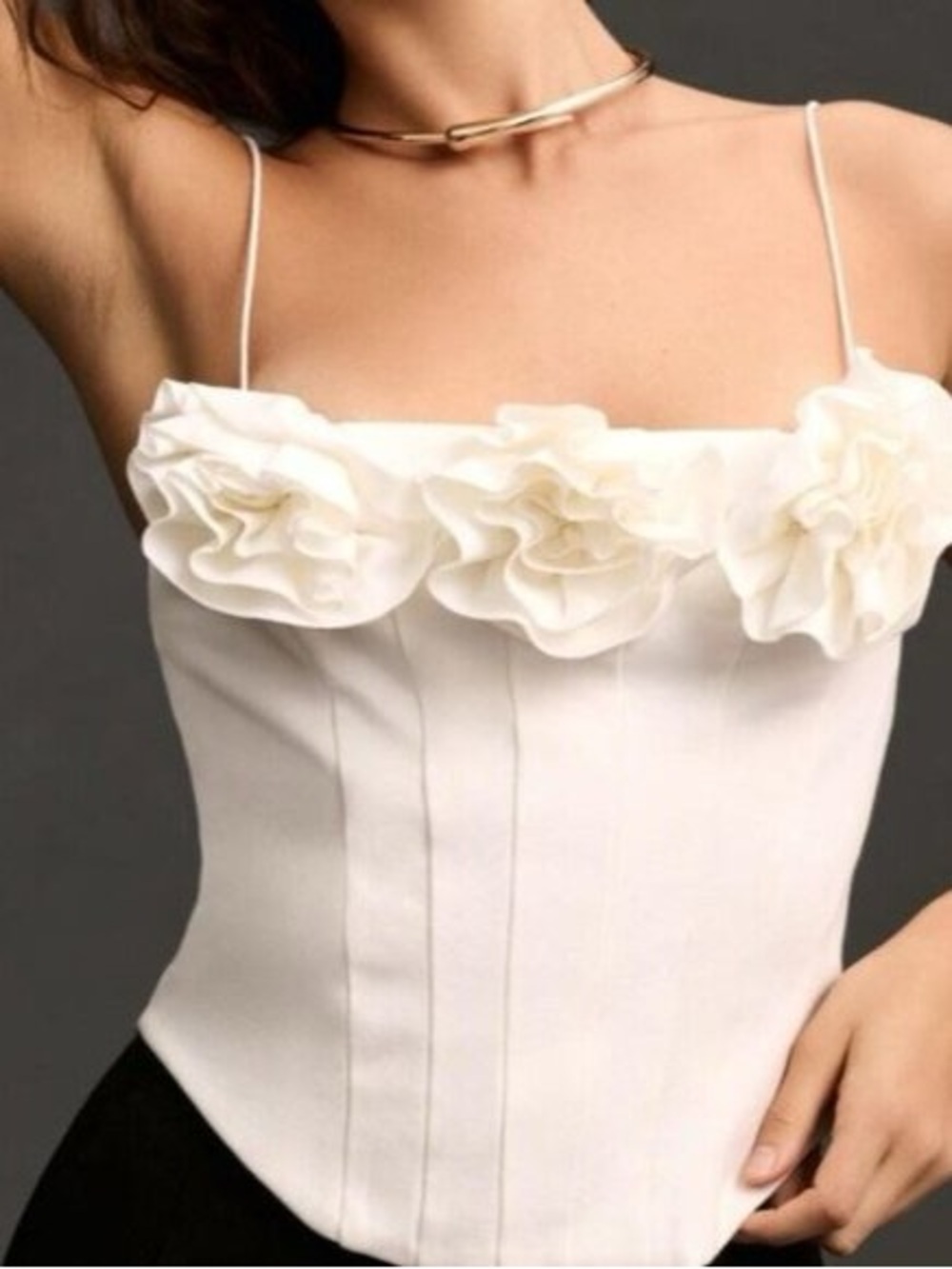 Sunday in Brooklyn Floral Corset Top from Anthropologie NWT Medium